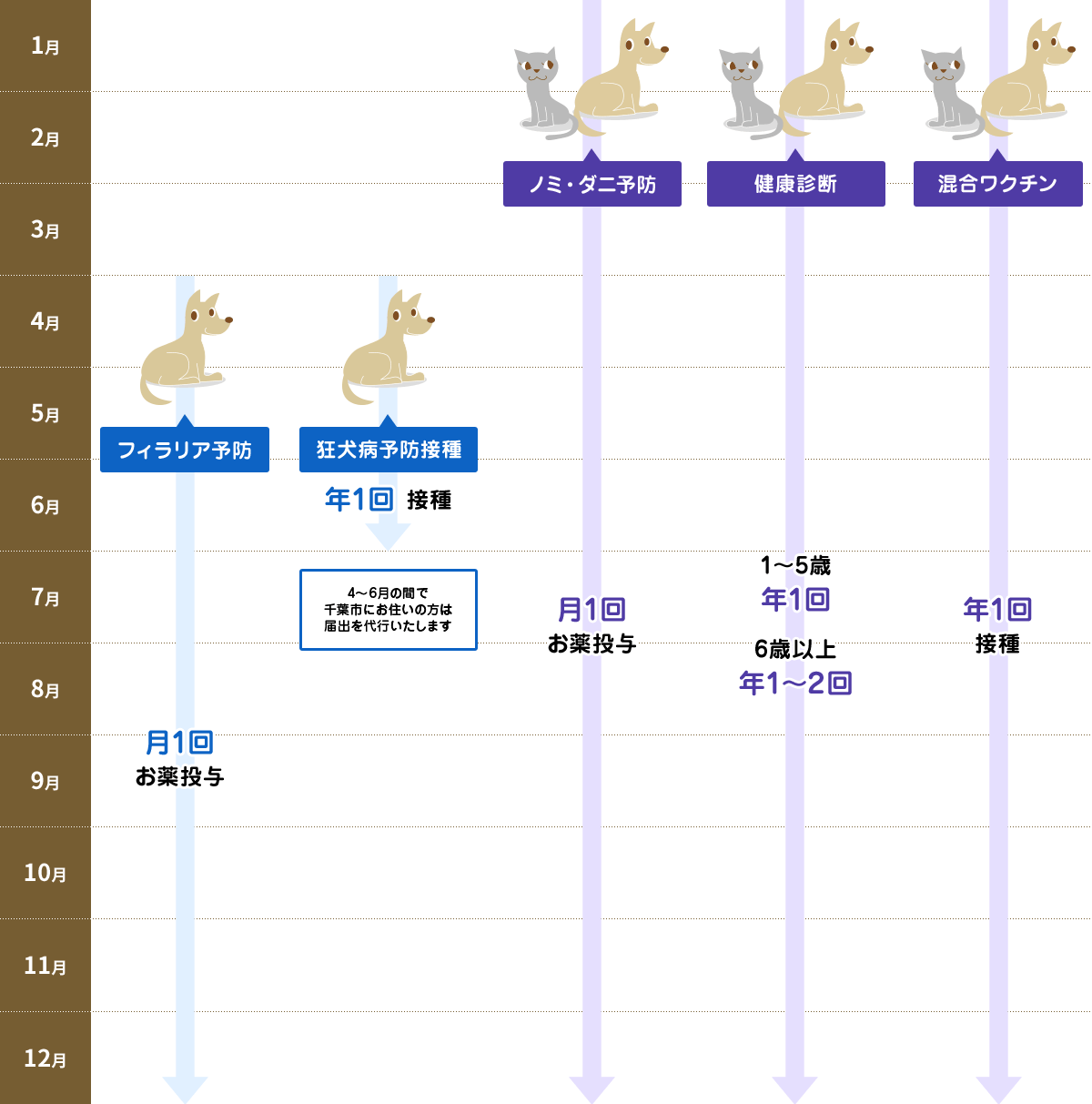 年間 予防カレンダー