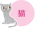 猫