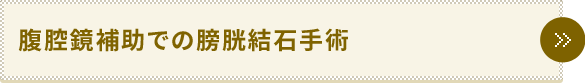 腹腔鏡補助での膀胱結石手術