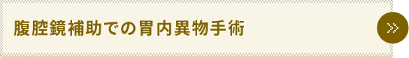 腹腔鏡補助での胃内異物手術