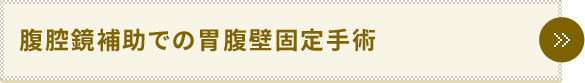 腹腔鏡補助での胃腹壁固定手術