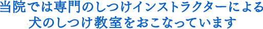 当院では専門のしつけインストラクターによる犬のしつけ教室をおこなっています