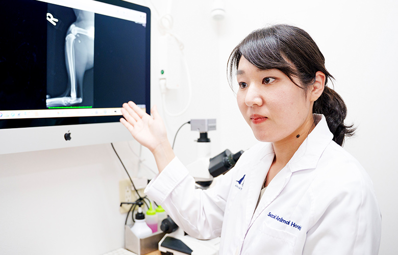 当院のサポート体制