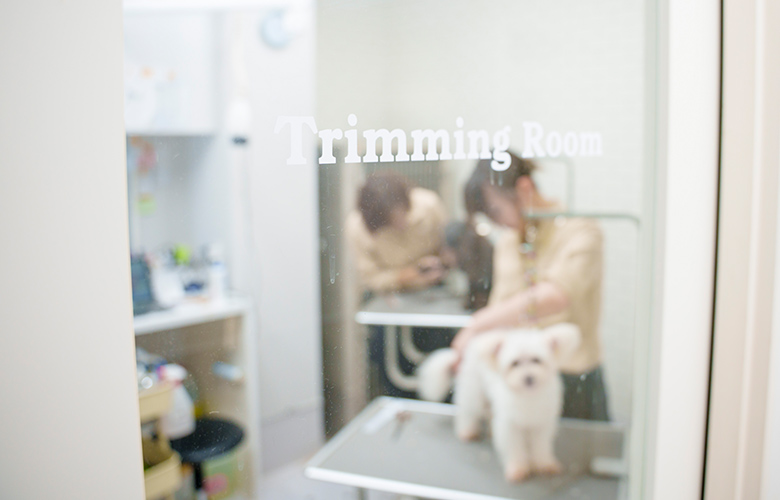 トリミング室