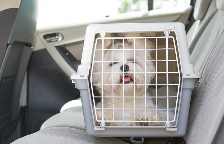 お会計・ご帰宅