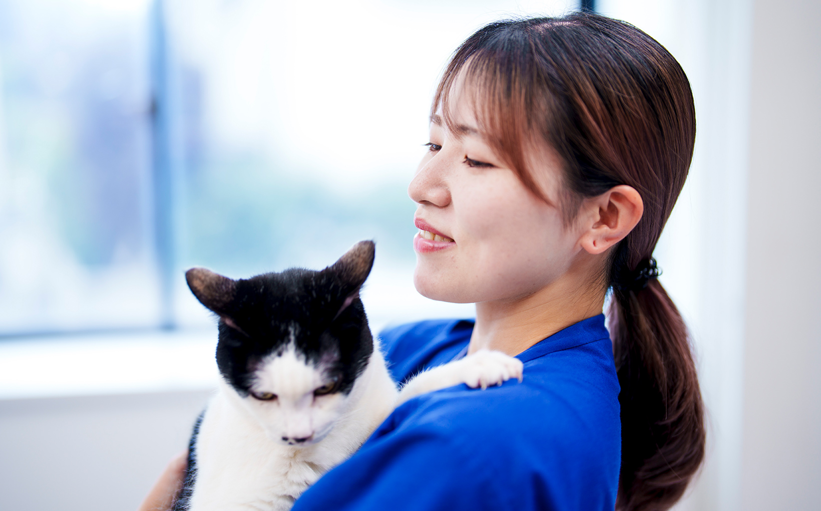 ネコちゃん専用の診療時間（キャットアワー）について