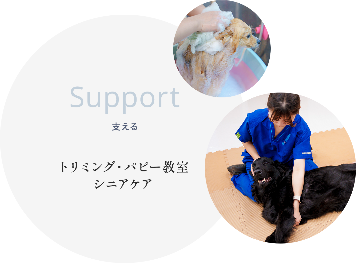 Heal 治す 内科・外科全般 専門診療