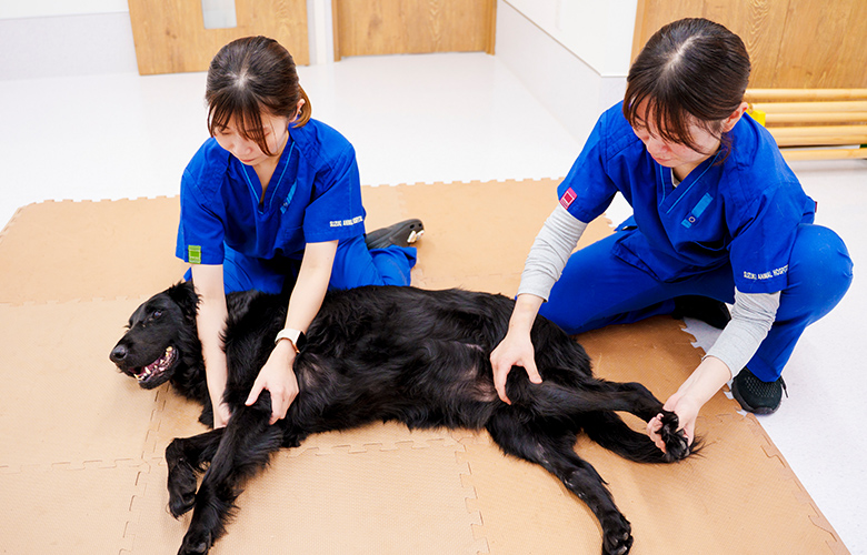 整形外科・リハビリとの連携体制