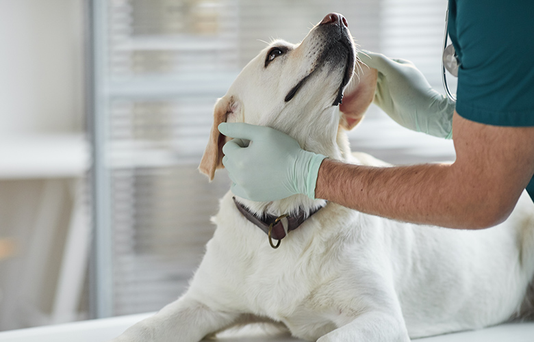 てんかん・慢性神経疾患にも丁寧に対応