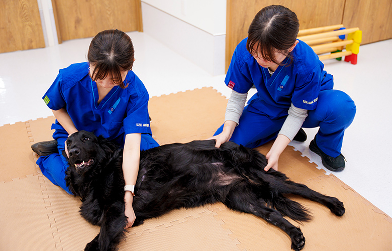リハビリや東洋医学を取り入れた次の治療ステップも提案