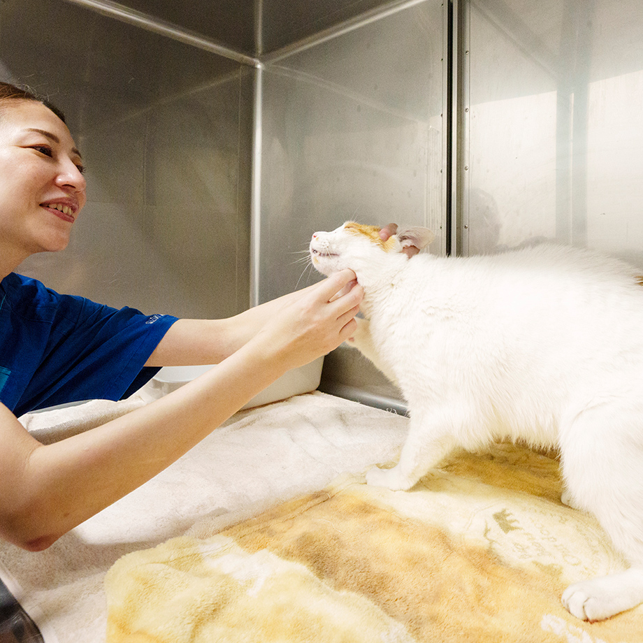 社会化の重要性 × 飼い主の共感