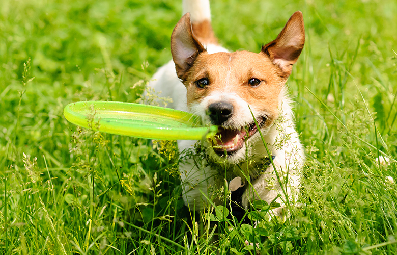 知っておきたい予防のこと