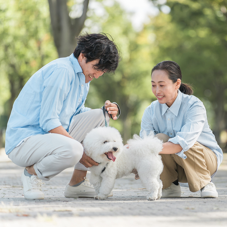 社会化の重要性 × 飼い主の共感