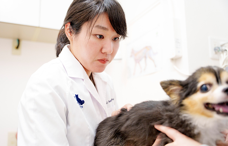 シニアケア・老化予防