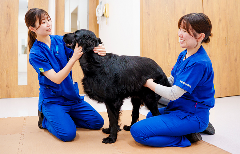 整形外科とリハビリが連携した動物病院として