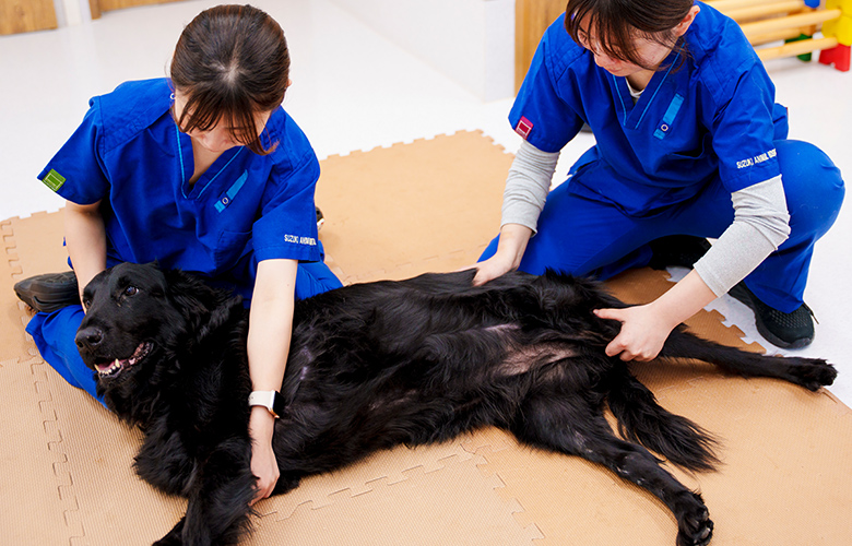 リハビリの様子_2