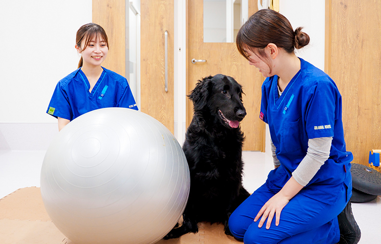 リハビリの様子_4