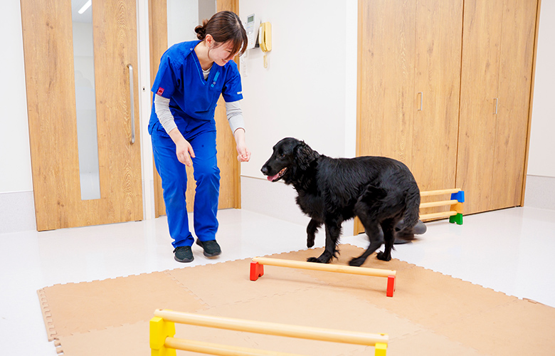 リハビリの様子_5