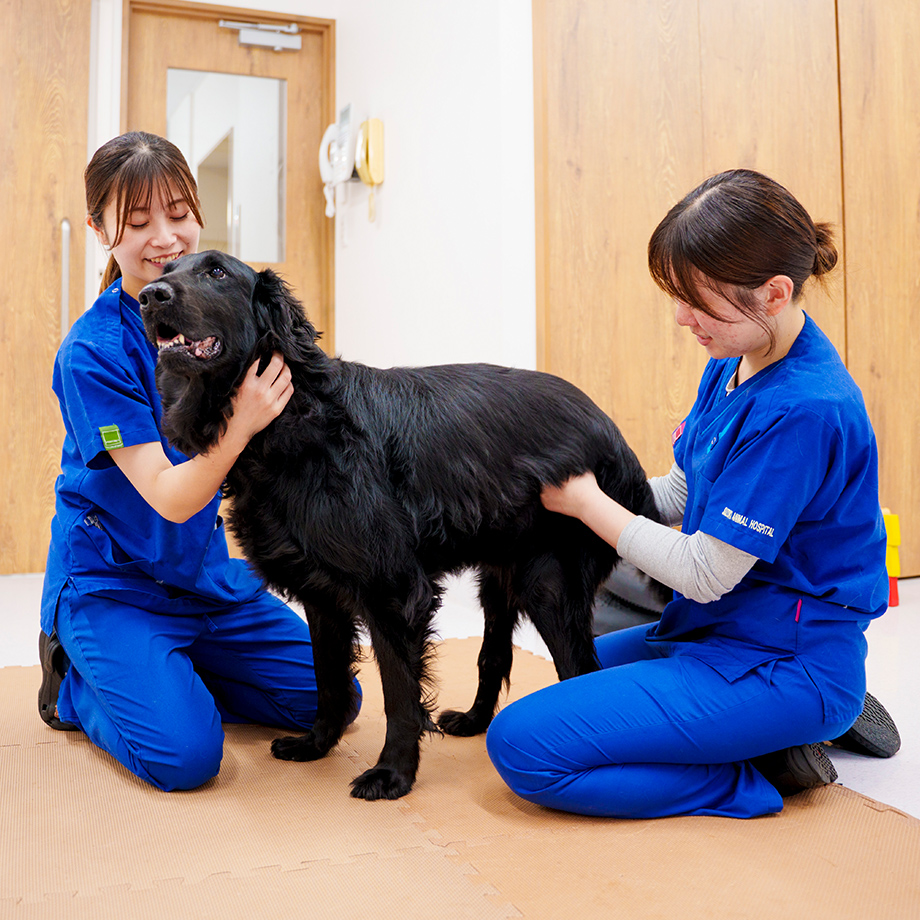 リハビリは“治療の終わり”ではなく、“回復の始まり”です