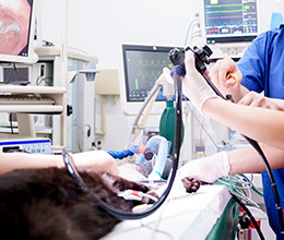 腹腔鏡を用いた手術・検査