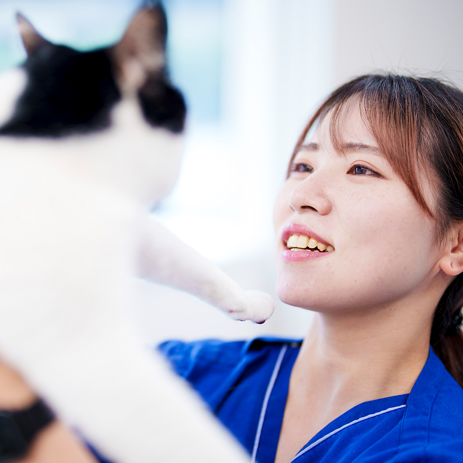 「かわいそう」ではなく、この子の「未来」を守る選択肢