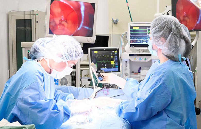 よくあるご相談・不安