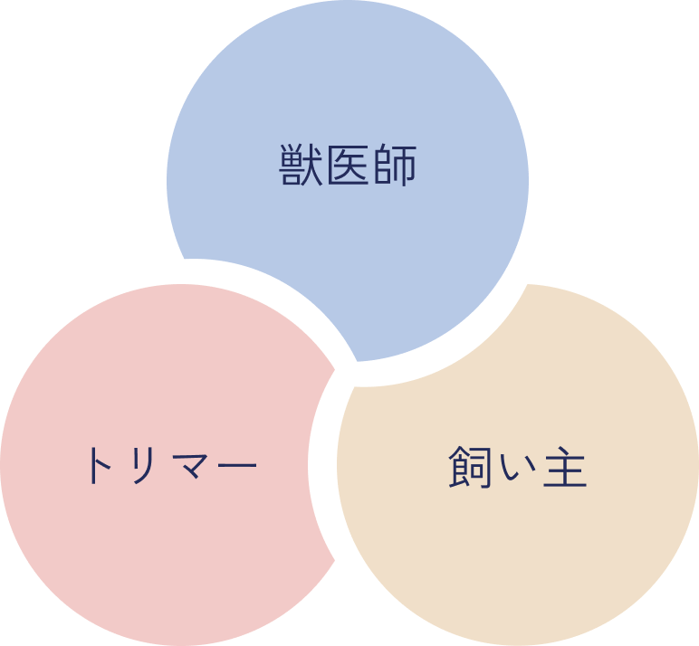 獣医師・飼い主・トリマー